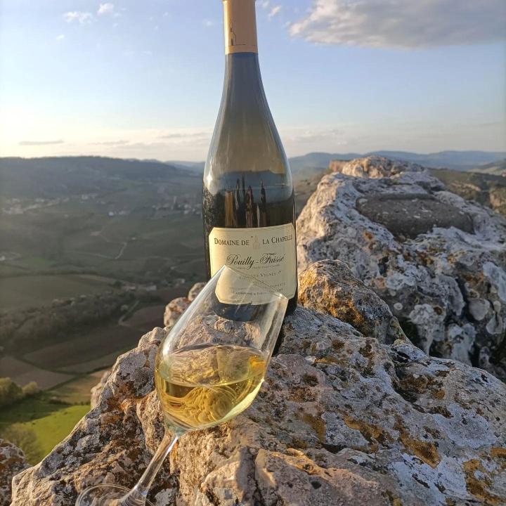 Dégustation de vins Mâcon