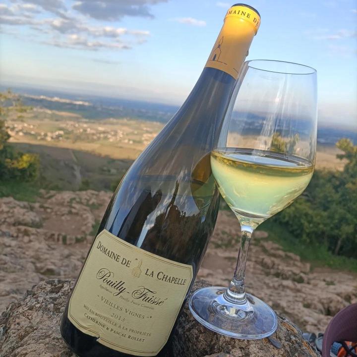 Dégustation de vins Macon