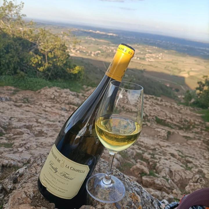 Animation gustative sur le vin Mâcon